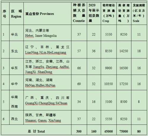 【专栏】海日：中国生物天然气行业的现状、问题与前景