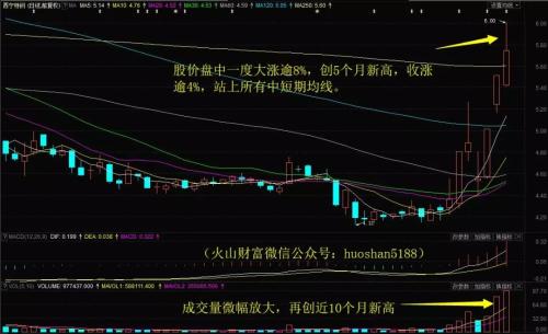 主力资金罕见净流入 反弹要来了?留意这只锂电池股