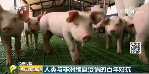 【紧急】非洲猪瘟疫情持续蔓延！经济损失或达数亿欧元，如何应对？