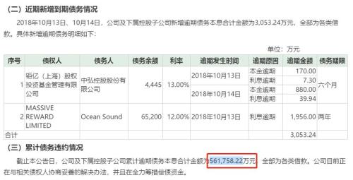 深交所启动中弘退市程序 24万股东面临考验图片 23371 500x255
