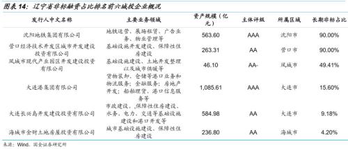 【国金固收】城投非标知多少?——东北篇