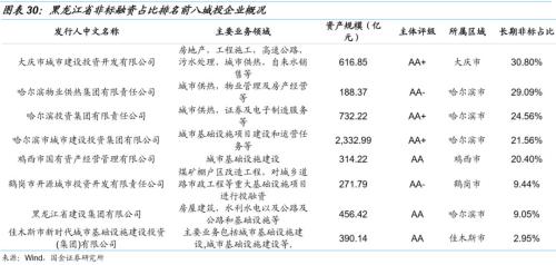 【国金固收】城投非标知多少?——东北篇