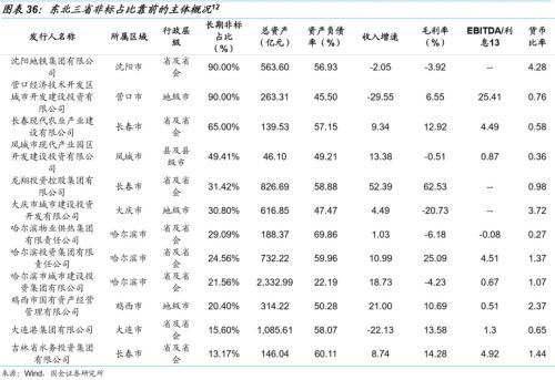 【国金固收】城投非标知多少?——东北篇
