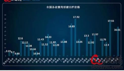 北京发现非洲猪瘟！全国猪价格局巨变，上市公司怎么办？