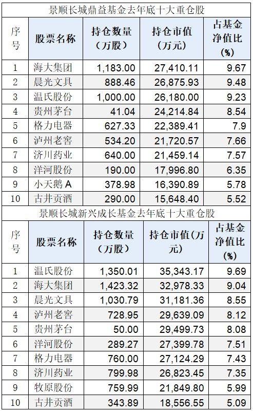 重磅！今年股票怎么炒？十大最强基金经理重仓股和观点来了！