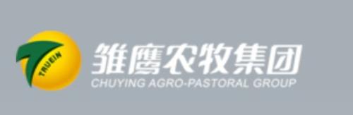 我走过最长的路，是上市公司的套路