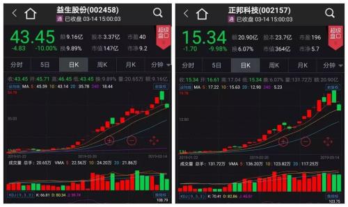 “六大金刚”全部跌停,机构争相“杀鸡宰猪”!券商口中的3200点如何发力?