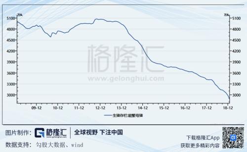 如何正确打开生猪的投资方式