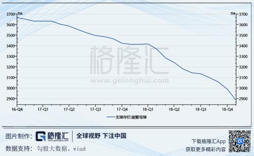 如何正确打开生猪的投资方式
