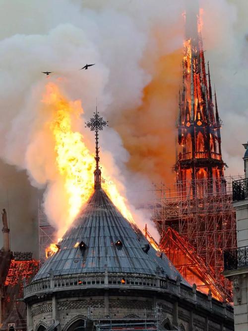 巴黎圣母院大火被烧毁 或成保险史上“无价损失”第一案