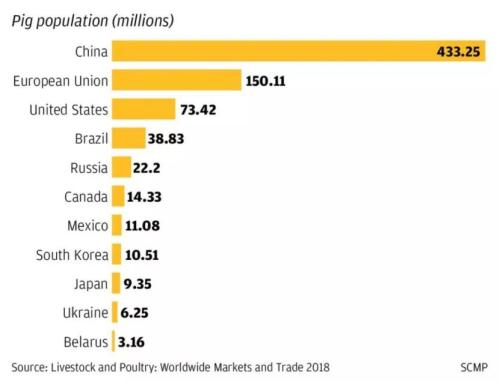 猪的风口与风口上的猪,猪瘟背后谁会是赢家