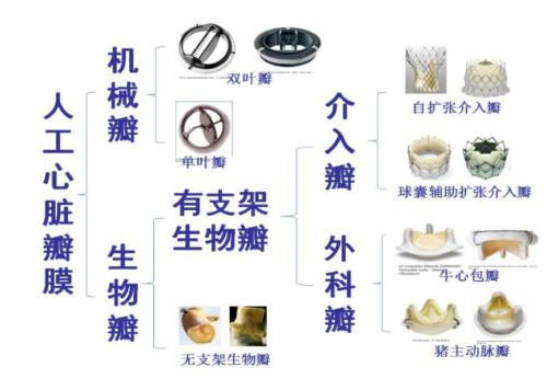 佰仁医疗：创始人夫妇持股集中，员工激励方案值得探讨