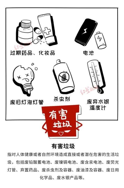 没有“干湿垃圾”这些城市的垃圾分类让人长舒一口气