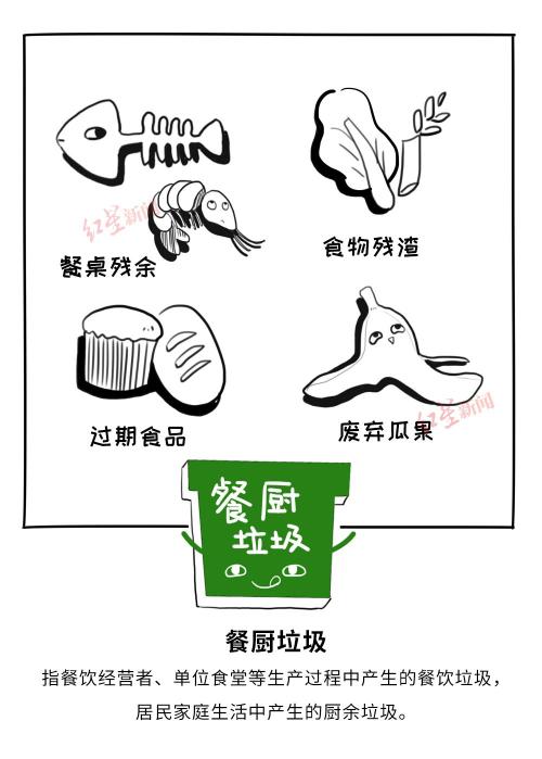 没有“干湿垃圾”这些城市的垃圾分类让人长舒一口气