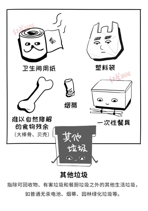 没有“干湿垃圾”这些城市的垃圾分类让人长舒一口气