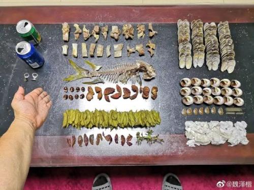 没有“干湿垃圾”这些城市的垃圾分类让人长舒一口气