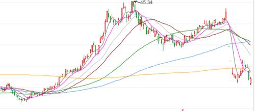 断臂求生！前董事长被批捕后，新城控股出售10个项目，回笼41亿元