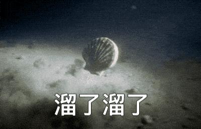 不认真造假,曾经的股王爆了……