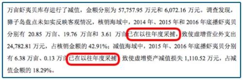 不认真造假,曾经的股王爆了……