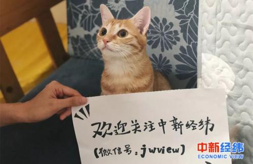 代写诗、“云”做饭、卖萌……这届网友卖的东西,你想都想不到