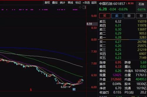 超级黑天鹅！沙特石油