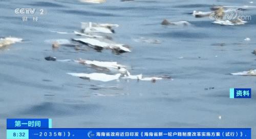737MAX客机年底复飞？狮航空难调查结果出炉，波音又惹众怒...