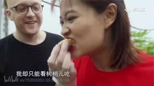 vlog界的一匹黑马——央视主持人康辉