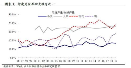 【宏观王涵】“非洲蝗灾”会对中国粮食安全产生严重影响吗？——粮食专栏