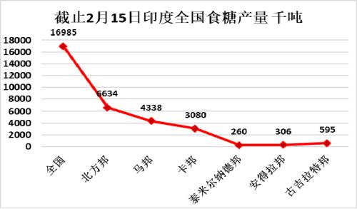 关于蝗灾，这里可能有你想了解的一切……