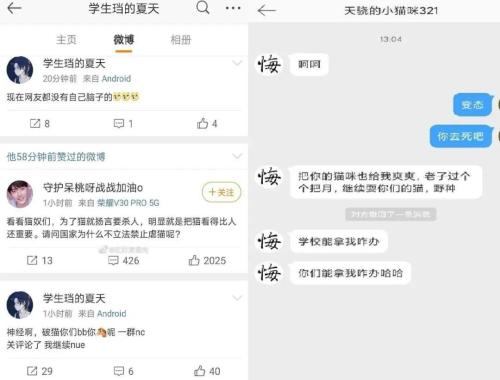 起底虐猫嗜血产业链！百部视频卖50元，团伙分工合作，有人月赚万元！