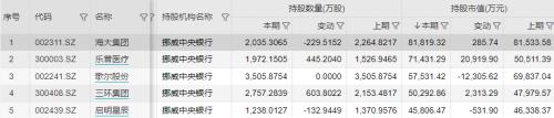 最新持仓揭秘！全球最大主权财富基金Q2买了这些股票