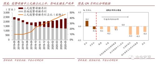 中金宏观：食品涨价带动CPI企稳，经济复苏推动PPI回升|2020年6月通胀数据点评