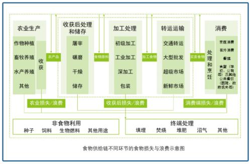 全球扫货!粮食到底啥情况?一个关键品种不能出问题……