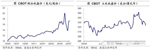 涨价的粮食，会是下一个“口罩”吗？