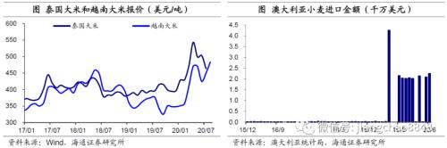 涨价的粮食，会是下一个“口罩”吗？