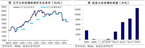涨价的粮食，会是下一个“口罩”吗？