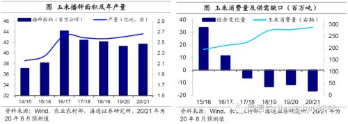涨价的粮食，会是下一个“口罩”吗？