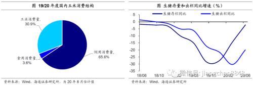涨价的粮食，会是下一个“口罩”吗？