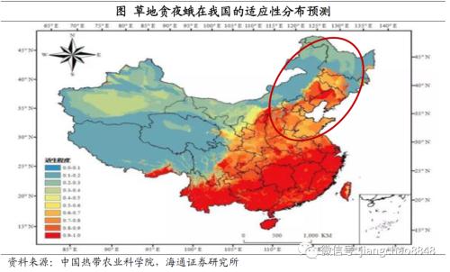 涨价的粮食，会是下一个“口罩”吗？
