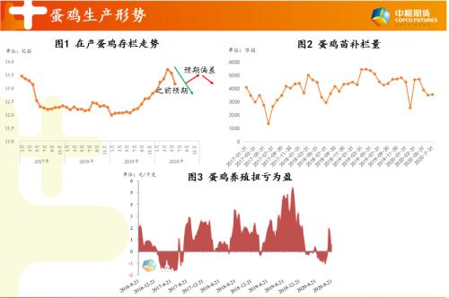 【中粮视点】鸡蛋：空头VS多头 熬时间VS赌空间