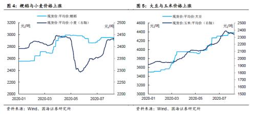 热点聚焦，猪价与粮价如何影响CPI？