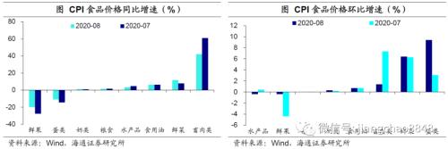 8月物价回落，通胀压力不大——8月物价数据点评（海通宏观 应镓娴）