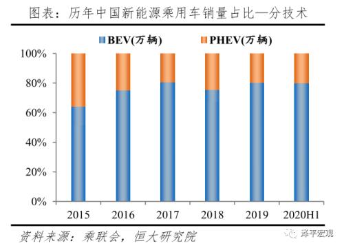 中国新能源汽车发展报告：2020