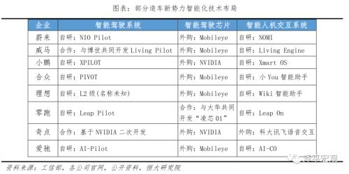 中国新能源汽车发展报告：2020