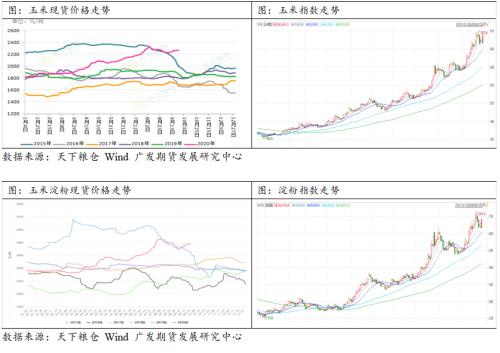 玉米受台风减产影响，盘面强势运行