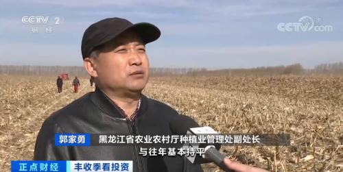 疯狂的玉米！期货价格刷历史新高！还会继续飙涨吗？