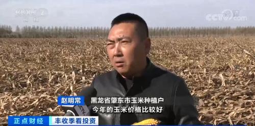 疯狂的玉米！期货价格刷历史新高！还会继续飙涨吗？