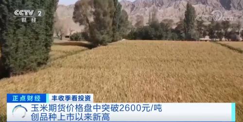 疯狂的玉米！期货价格刷历史新高！还会继续飙涨吗？