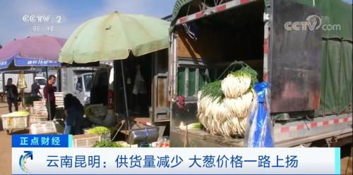 疯狂的大葱！短短几天，价格涨两倍！“葱”忙涨价为哪般？