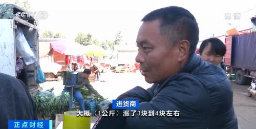 疯狂的大葱！短短几天，价格涨两倍！“葱”忙涨价为哪般？